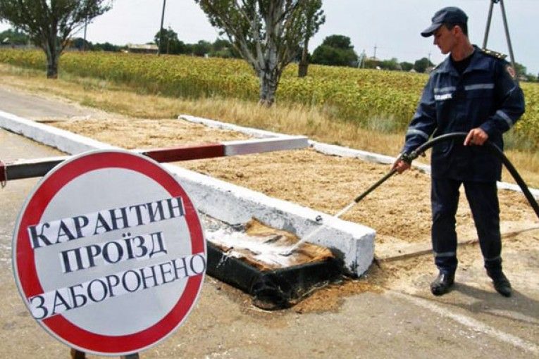 Карантин Карантин