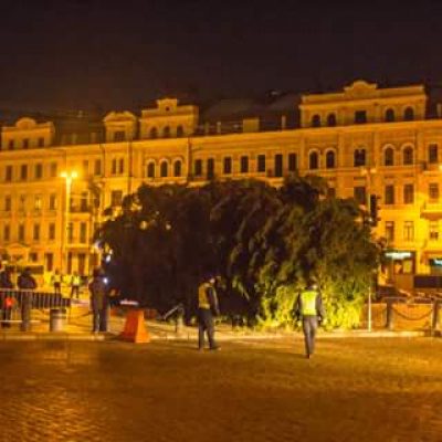 В Киеве начали устанавливать главную елку страны, опубликованы фото и видео