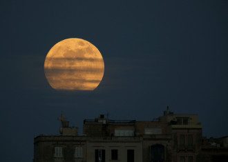 Астролог объяснил, когда нужно заводить