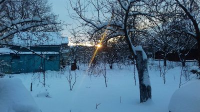 зима. мороз