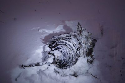 Советские люди искренне радовались каждому упавшему боингу, и всякой разрушительной природной стихии в стане врага Советские люди искренне радовались каждому упавшему боингу, и всякой разрушительной природной стихии в стане врага