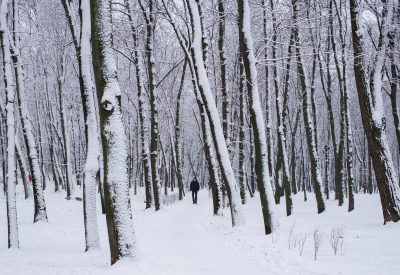 Київ, погода, зима, сніг Київ, погода, зима, сніг