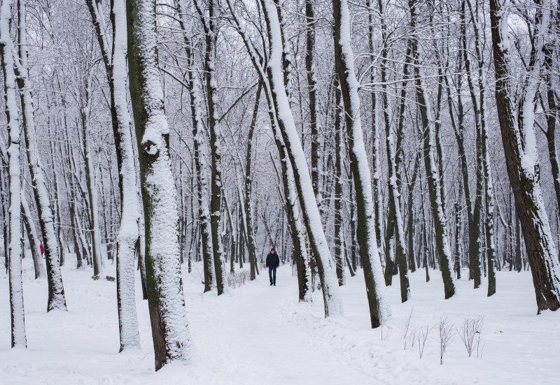 Заморозит и засыплет снегом: украинцам дали ледяной прогноз и назвали сроки