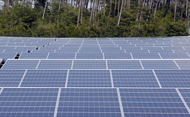 Под Киевом норвежцы строят мощную солнечную электростанцию