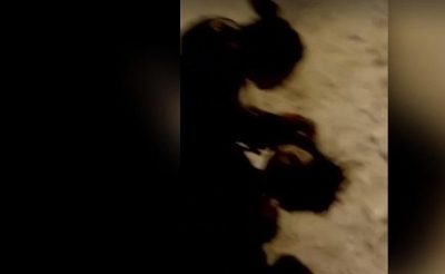 / Скриншот из видео / Скриншот из видео