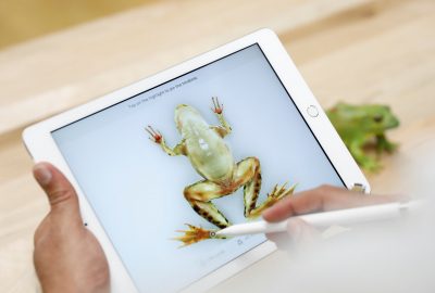 Apple показала новый iPad для школьников: названа цена