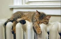 Котли та дрова: експерт розповів про жахи опалювального сезону в зруйнованих містах