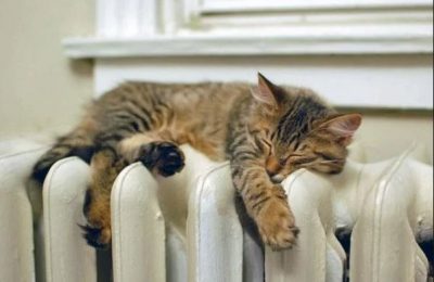 Стало известно, где в Украине дали отопление 2019: карта