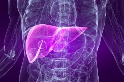 Печень Печень