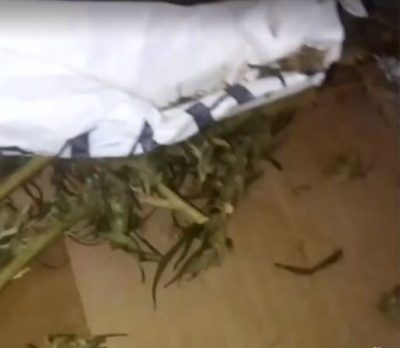 "Трудно без плана". На Днепропетровщине учителя "втихаря" сожгли пакет найденной школьниками травы