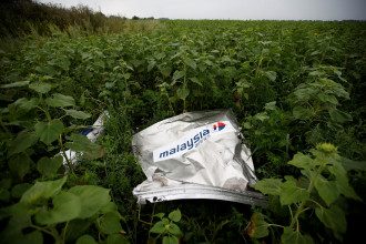 Нидерланды объявили виновных в крушении боинга на Донбассе: среди них украинец