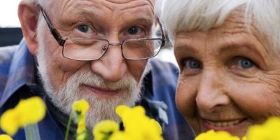 долголетие