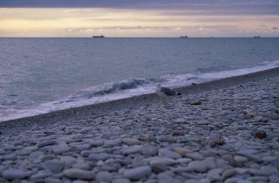 В Крыму утонули две известные российские спортсменки