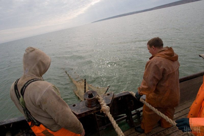 Украина с Россией распределили квоты на вылов рыбы в Азовском море