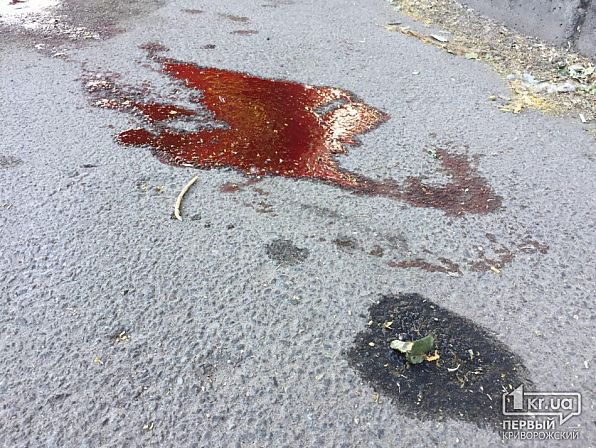В Кривом Роге похитили мужчину, была стрельба, пострадавший умер, узнали СМИ В Кривом Роге похитили мужчину, была стрельба, пострадавший умер, узнали СМИ
