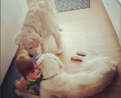 Родители Хлои завели аккаунт в Instagram, где демонстрируют любовь собак к малышке