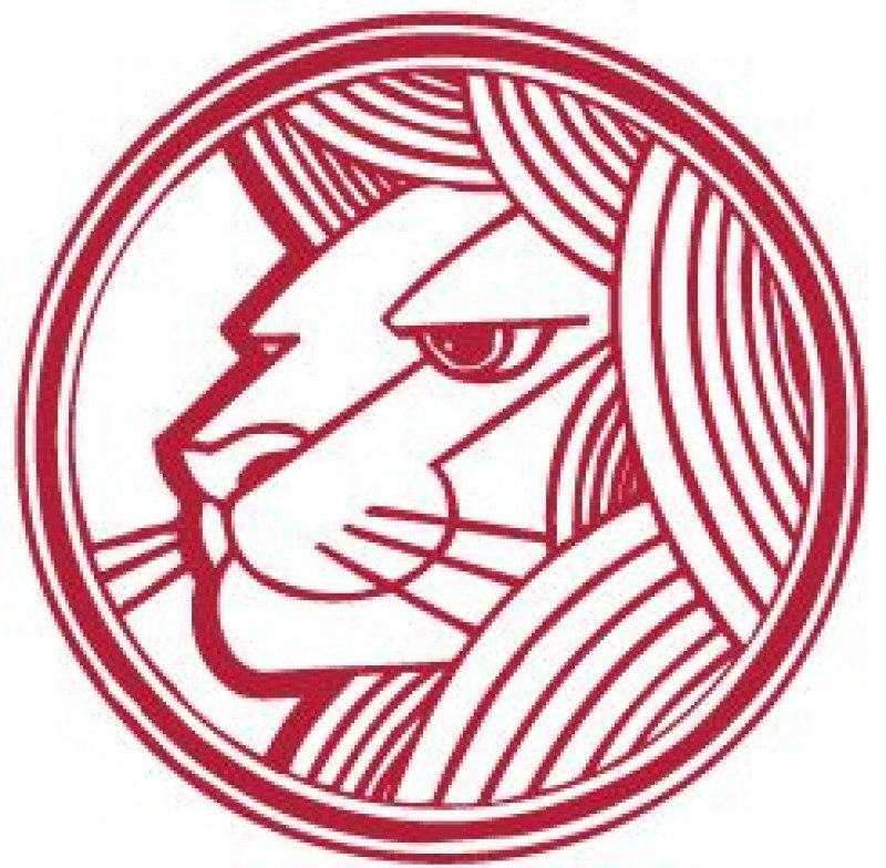 Лев: в чем слабость и суперсила этого знака Зодиака