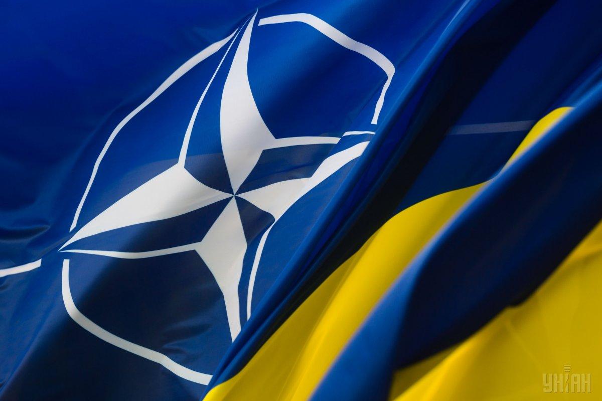 Посол сообщил, что Украина спокойно может стать 31-м или 32-м членом НАТО Посол сообщил, что Украина спокойно может стать 31-м или 32-м членом НАТО