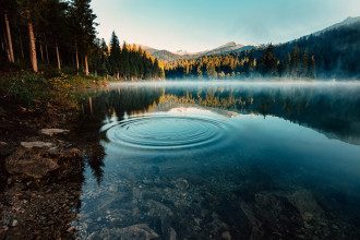 какого числа лось в воду написал