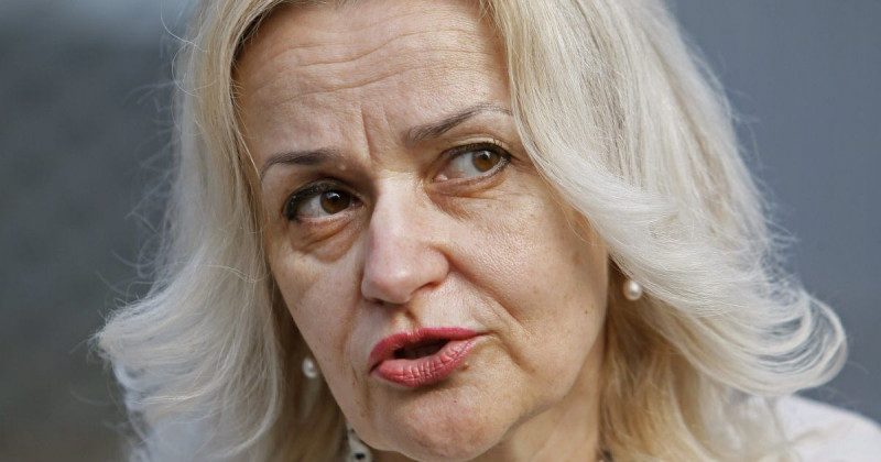 Фарион призвала немедленно бросить Зеленского "за решетку"