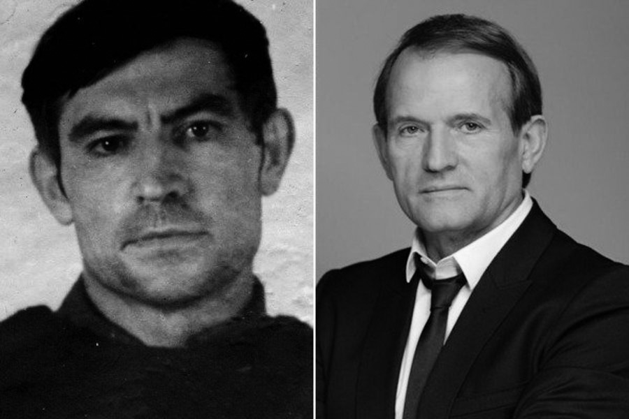 Виктор Медведчук, Василий Стус