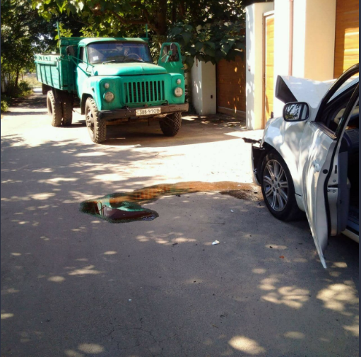 Активисты в последнюю секунду успели покинуть машину