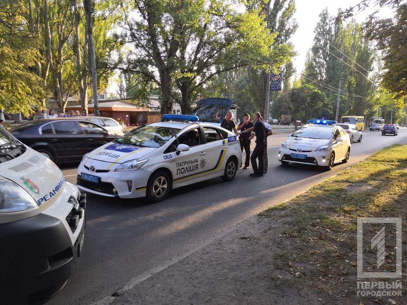 В Кривом Роге легковушка сбила 5-летнюю девочку и уехала, пострадавшая умерла