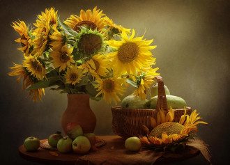 еда_яблоки_кабачки_подсолнухи_Яблочный спас