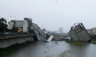 Разрушение моста считается следствием халатности Разрушение моста считается следствием халатности