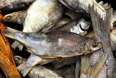 Ботулизм Ботулизм