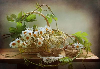 еда_орехи_Ореховый спас_ромашки еда_орехи_Ореховый спас_ромашки