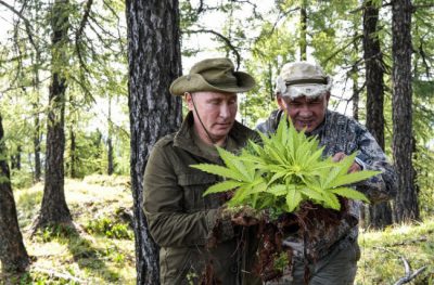 Отдых Путина в Туве взорвал Сеть массой ироничных мемов