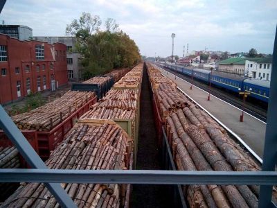 Криминал на дровах: как Порошенко провернул трюк с кругляком