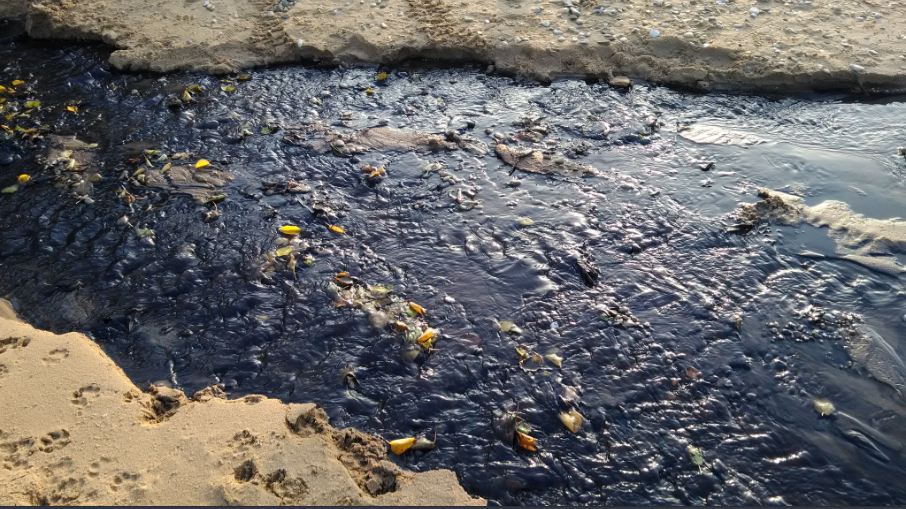 В Крыму завод сбрасывает токсичные отходы в открытое море: опубликованы фото
