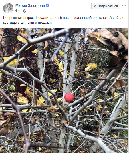/ Фото: скрин Facebook/Мария Захарова / Фото: скрин Facebook/Мария Захарова