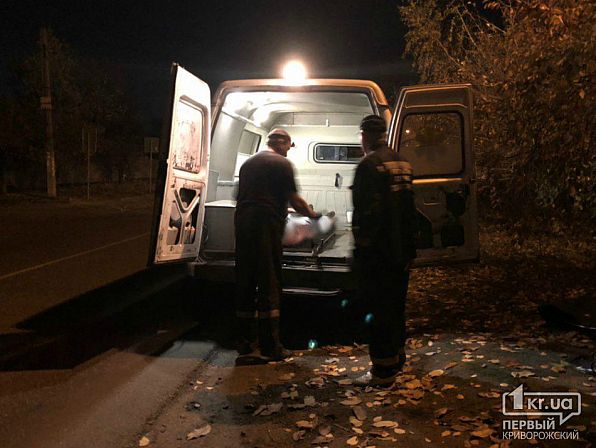 Серийные убийства в Кривом Роге: во дворе частного дома нашли пять закопанных тел