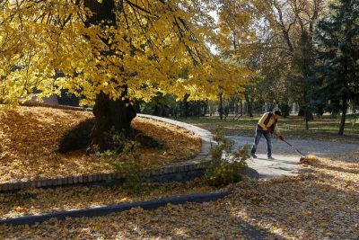 В Киеве в четверг потеплеет, спрогнозировала синоптик - Погода Київ