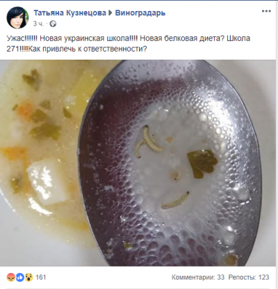 "Белковая диета": в киевской школе учеников кормили супом с опарышами - фото