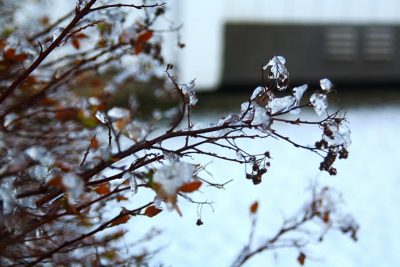Синоптики сообщили, что в феврале-2019 в Украине средняя температура ожидается 0-5 градусов