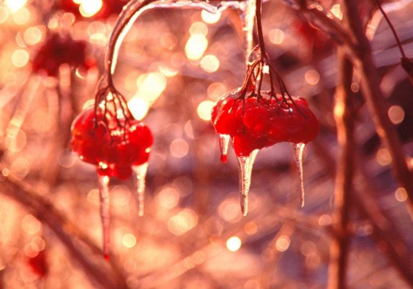 Оттепель и снег: синоптик рассказала, какой будет погода в Киеве и Украине до Крещения 2019