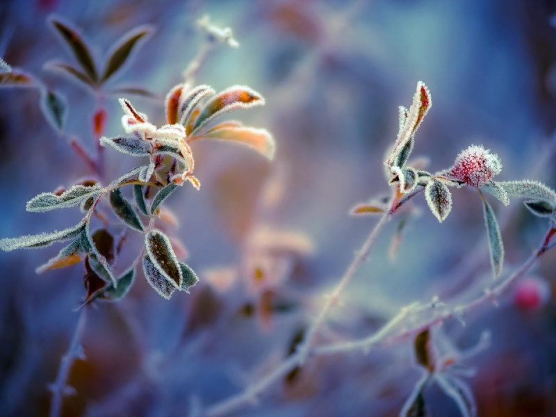 Украинцев напугали зимней погодой: синоптик предупредила о заморозках