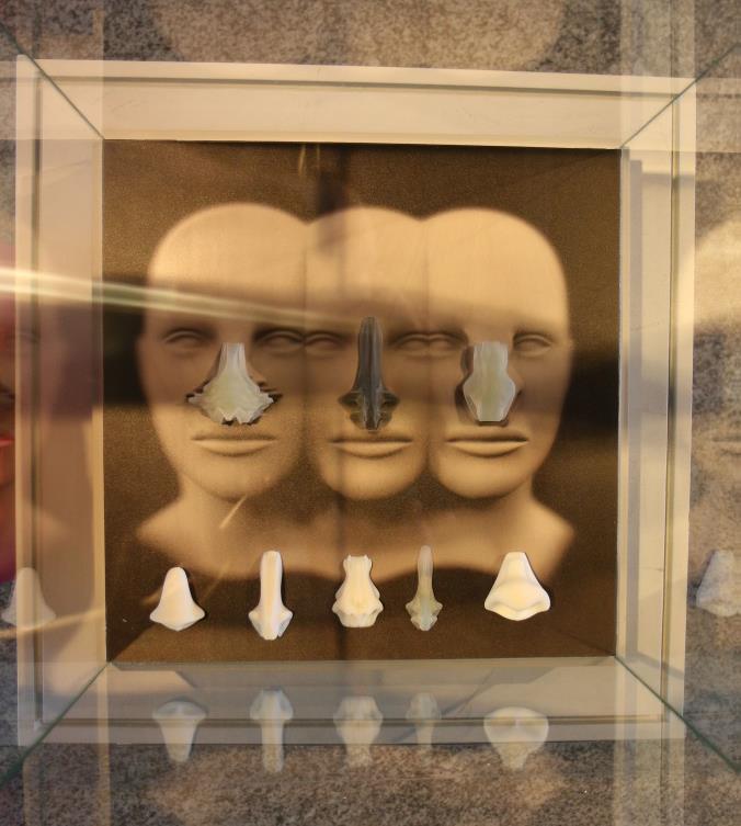 Человеческий нос, Марс