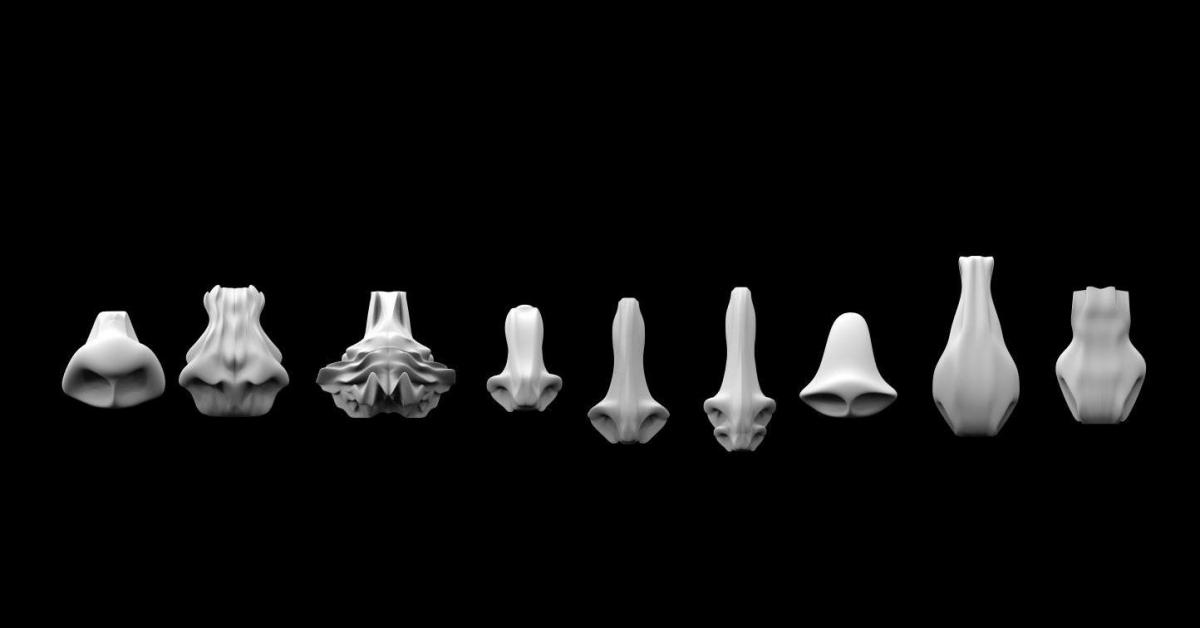 Человеческий нос, Марс