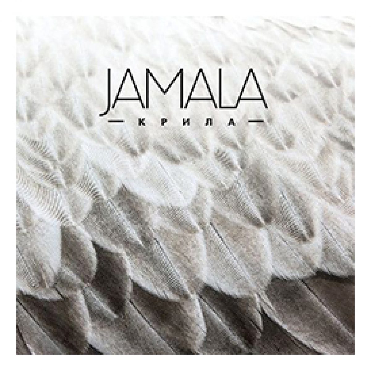 Песни крила. Jamala крила. Jamala крила альбом. Песня Джамалы.