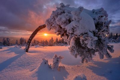 День зимнего солнцестояния 2019 – что делать, ритуалы, практики и молитвы 