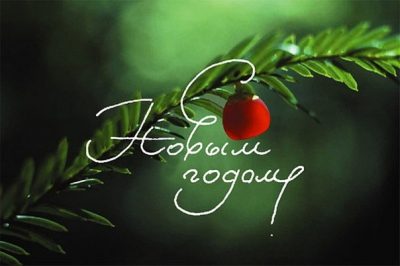 Как оригинально поздравить коллег с Новым годом на корпоративе и не только