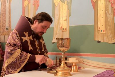 Архиепископ Солнечногорский Сергий (Чашин) Архиепископ Солнечногорский Сергий (Чашин)