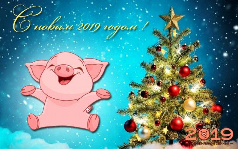 Астролог рассказал, кому из знаков Зодиака повезет с деньгами в 2019-м, а кого ждет полный провал