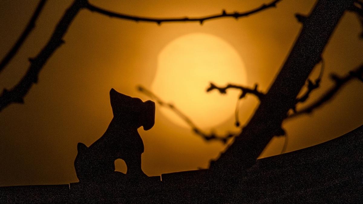 Солнечное затмение - 2019