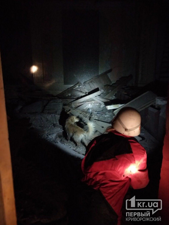 В Кривом Роге обрушилась часть дворца культуры, есть пострадавший